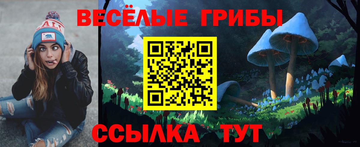 Галлюциногенные грибы Magic Shrooms Елец